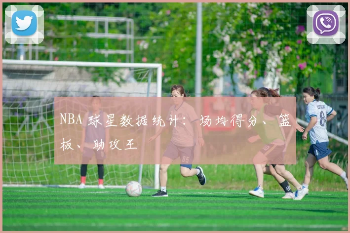 NBA 球星数据统计:场均得分、篮板、助攻王